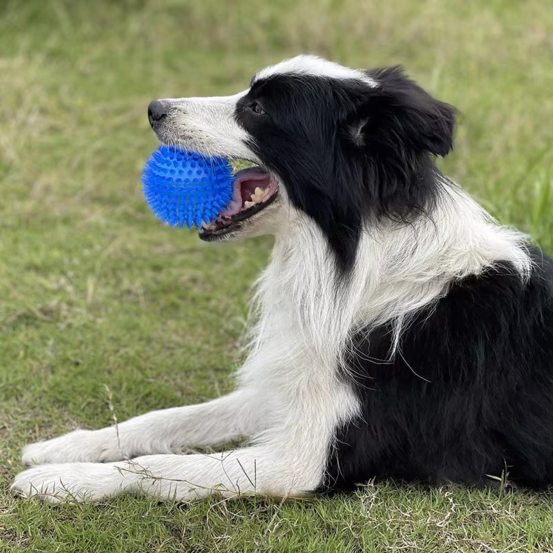 TPR Squeaky Spiked Dog Ball Ch – обзор и цена Spike Ball Game